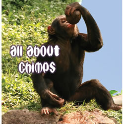 All About Chimps - Board Book