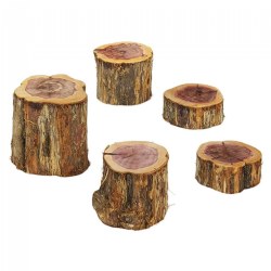 Wood Stepping Stumps - Set of 5