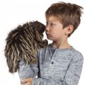 Alternate Image #3 of Porcupine Hand Puppet