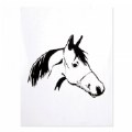 Primary Thumbnail of LAP&trade; Horse Illustration Pad