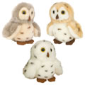 Thumbnail Image of Itsy Bitsies Plush Spotted Owls - Set of 3