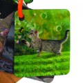 Thumbnail Image #2 of Animal Planet Pets & Farm Animals 3D Flash Cards - 20 Cards