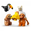 Thumbnail Image #5 of LEGO® DUPLO® Wild Animals of South America - 10973