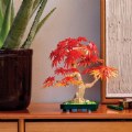 Thumbnail Image #3 of LEGO® Japanese Red Maple Bonsai Tree - 10348