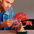 Thumbnail Image #6 of LEGO® Japanese Red Maple Bonsai Tree - 10348