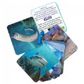 Thumbnail Image #2 of Animal Planet 3D Creatures Flash Cards Set - Set of 3