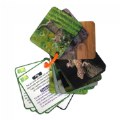 Thumbnail Image #4 of Animal Planet 3D Creatures Flash Cards Set - Set of 3