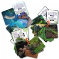 Thumbnail Image of Animal Planet 3D Creatures Flash Cards Set - Set of 3