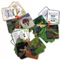 Thumbnail Image of Animal Planet 3D Creatures Flash Cards