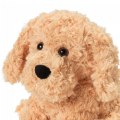 Thumbnail Image #2 of Warmies® Microwavable Plush 13" Golden Dog