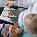 Thumbnail Image #5 of Moosey Soft Plush & "How to Hide a Moose" Board Book