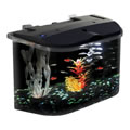 5 Gallon Aquarium with LED Lighting and Power Filter