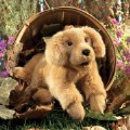 Alternate Image #3 of Golden Retriever Puppy Hand Puppet