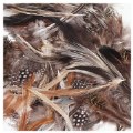Natural Feathers - 3 oz.
