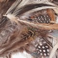 Thumbnail Image #5 of Natural Feathers - 3 oz.