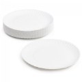 9" Paper Plates - 100 Count