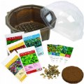 Thumbnail Image #2 of Sensory Eco-Biosphere Plant Dome with 5 Different Seeds