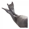 Alternate Image #3 of Sea Elephant Realistic Figure