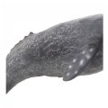 Alternate Image #3 of Grey Whale Realistic Figure