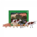 Alternate Image #2 of Farmland Animals Box Set 2 - Set of 4