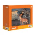 Alternate Image #3 of Wildlife Animals Box Set - Woodland Wildlife