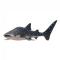 Whale Shark Realistic Figure