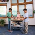 Alternate Thumbnail #2 of K'NEX&reg; Introduction to Simple Machines: Levers and Pulleys