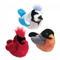 Backyard Birds - Set of 3