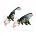 Thumbnail Image #2 of Bug-tastic Memory Match Game