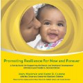 Promoting Resilience For Now and Forever (Infant/Toddler) - Set of 20