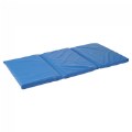 Thumbnail Image of 3-Fold 1" Thick Rest Mat