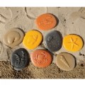 Alternate Image #2 of Let's Investigate - Seashore - Set of 8 Stones