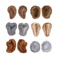 Alternate Image #7 of Magnetic Matching Fossil Stones - Set of 6