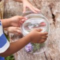 Thumbnail Image #4 of Carry and Discover Magnification Containers - Set of 2