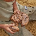 Alternate Image #3 of Magnetic Fossil 3D Puzzle - Ammonite - 6 Pieces