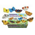 Thumbnail Image #6 of Sensory Play Stones: Butterflies - 8 Pieces