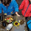 Thumbnail Image #3 of Sensory Play Stones: Flowers - 8 Pieces