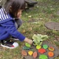 Thumbnail Image #2 of Sensory Play Stones: Leaves - 12 Pieces