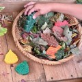 Alternate Image #3 of Sensory Play Stones: Leaves - 12 Pieces