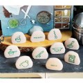 Thumbnail Image #4 of Sensory Play Stones: Mud Kitchen Process -  10 Pieces