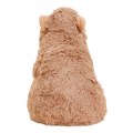 Thumbnail Image #3 of Warmies® Microwavable Plush 13" Capybara