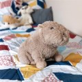 Thumbnail Image #4 of Warmies® Microwavable Plush 13" Capybara