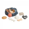 Organic Textures Discovery Set - 22 Pieces