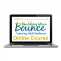 Building Your Bounce Online Course