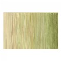 Sense of Place Nature's Stripes Carpet - Green - 4' x 6' Rectangle