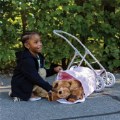 Thumbnail Image #4 of My First Toy Pet Stroller