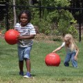 Alternate Thumbnail #2 of Playground Balls