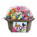 Thumbnail Image of Butterfly Garden Biosphere
