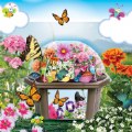 Thumbnail Image #2 of Butterfly Garden Biosphere
