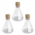 Flask - Set of 3